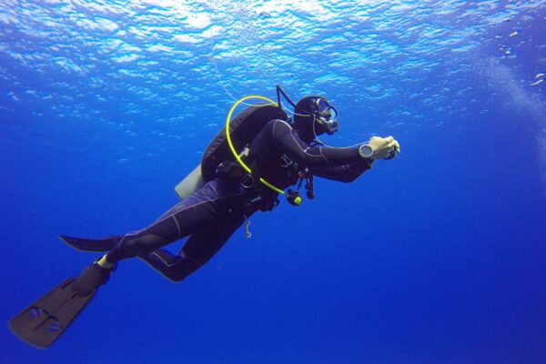 Scuba-Diving-Image
